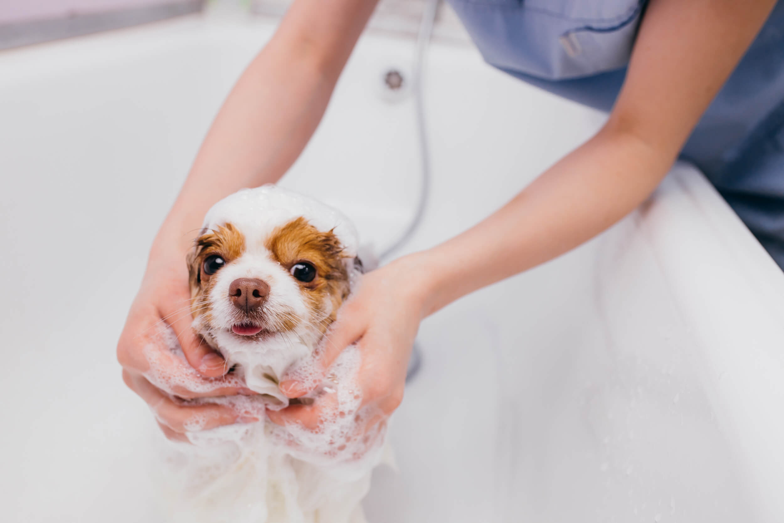 Pet-friendly community with nearby green spaces.